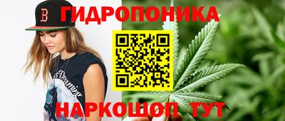 ECSTASY Бийск