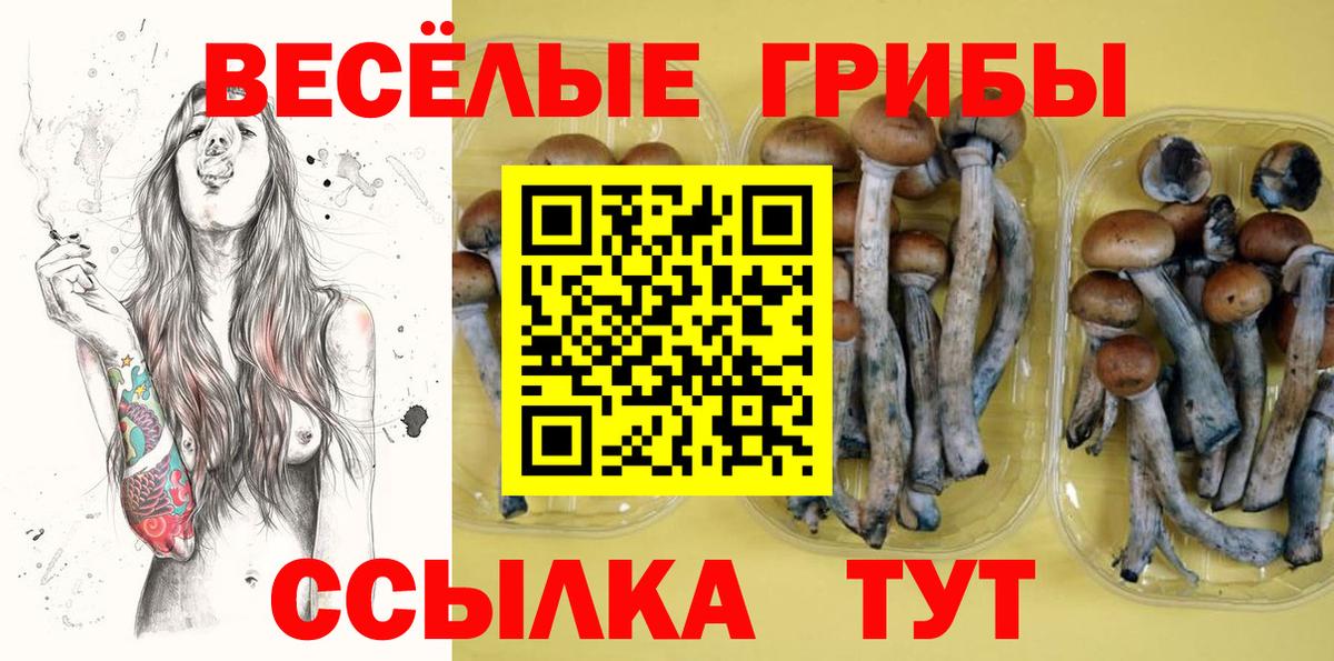Галлюциногенные грибы Cubensis  Вход с VPN  Батайск 