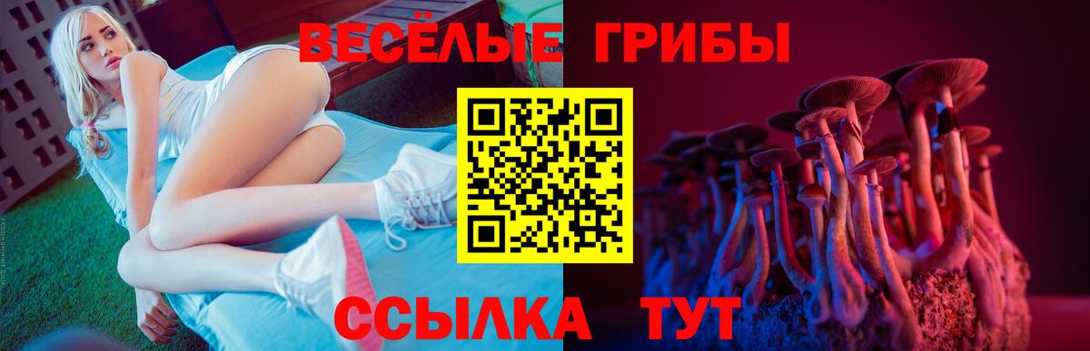 Псилоцибиновые грибы Psilocybe Батайск